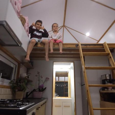 Tiny House Cluj With Jacuzzi Villa Sinnicoara Eksteriør billede