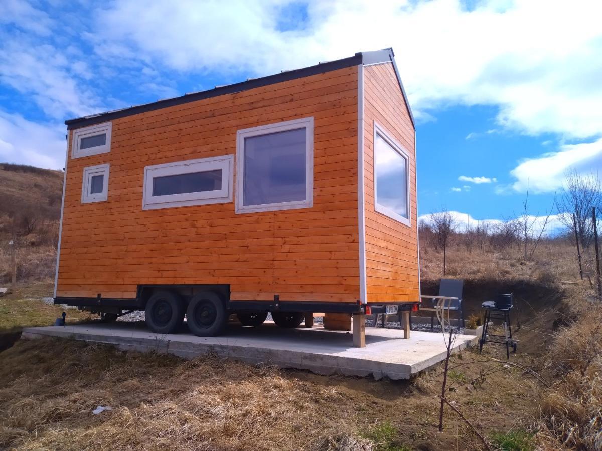 Tiny House Cluj With Jacuzzi Villa Sinnicoara Eksteriør billede