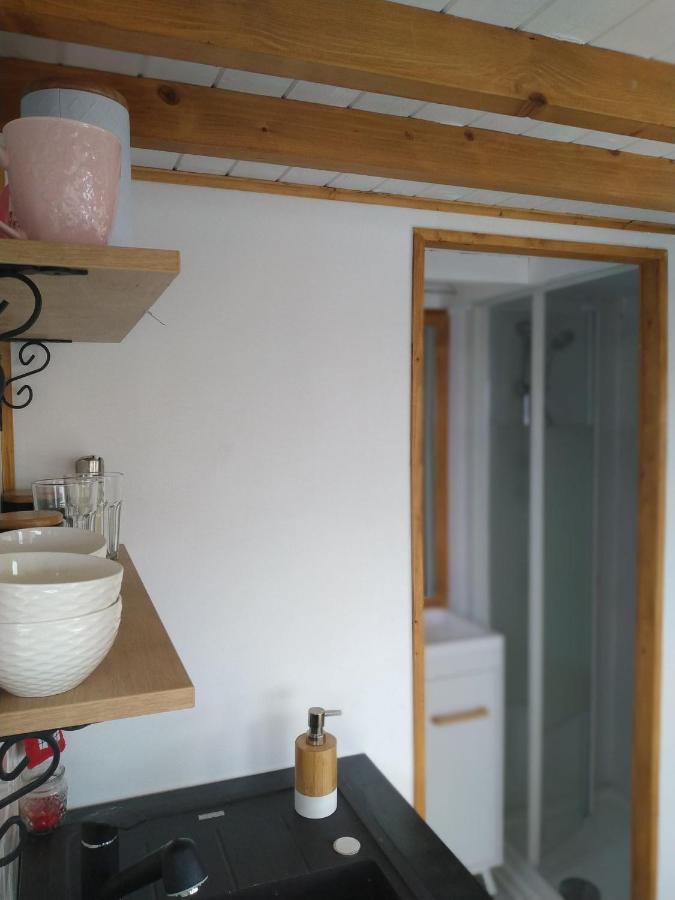 Tiny House Cluj With Jacuzzi Villa Sinnicoara Eksteriør billede