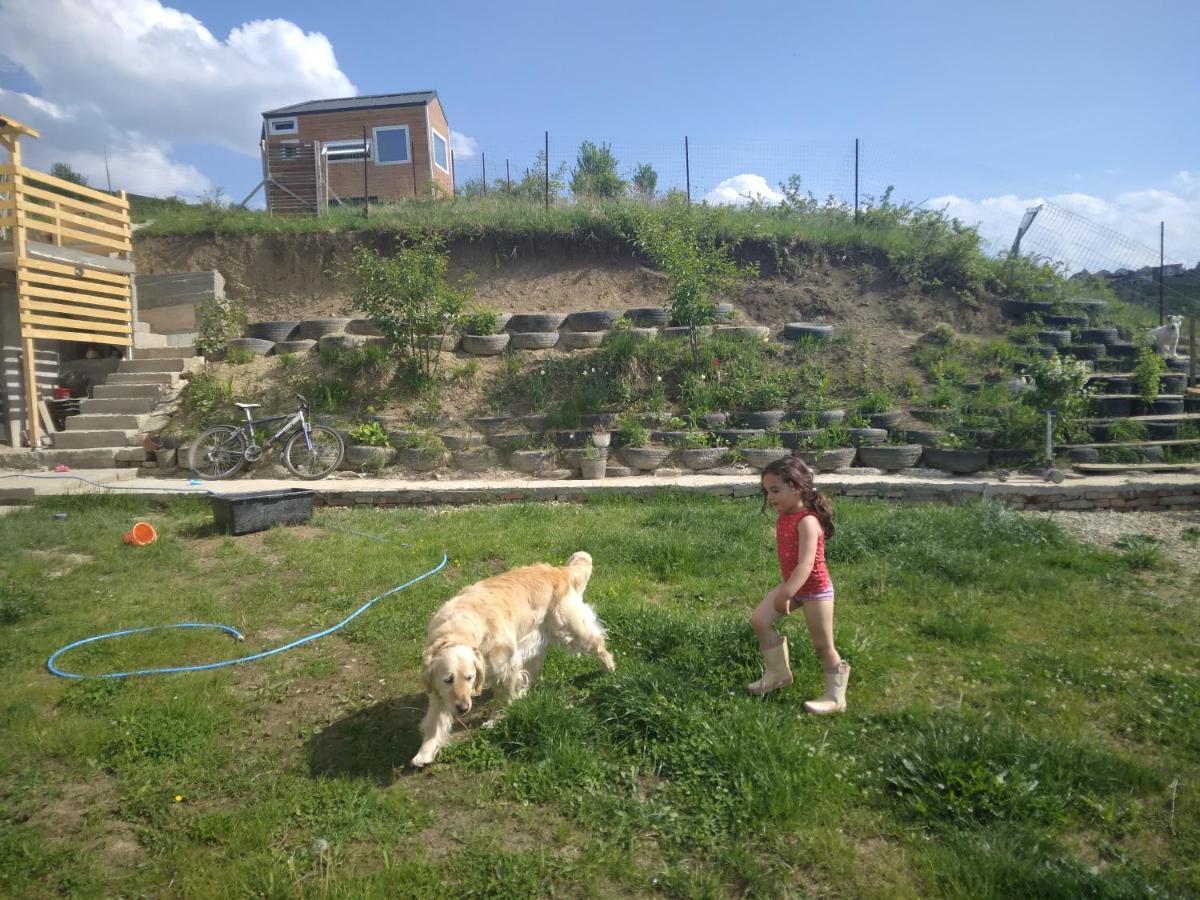 Tiny House Cluj With Jacuzzi Villa Sinnicoara Eksteriør billede