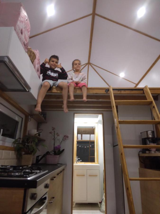 Tiny House Cluj With Jacuzzi Villa Sinnicoara Eksteriør billede