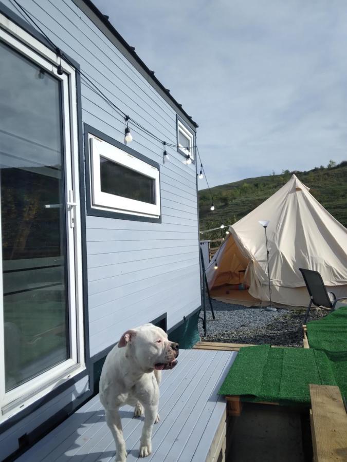 Tiny House Cluj With Jacuzzi Villa Sinnicoara Eksteriør billede